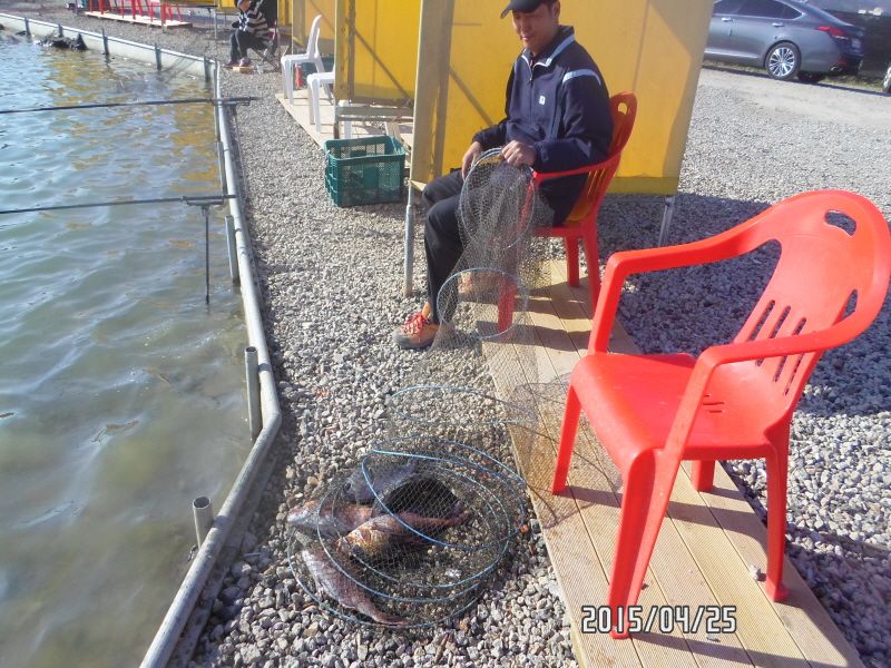 �ٹ̱�_SAM_0053.JPG
