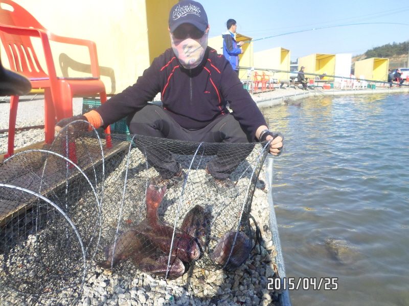 �ٹ̱�_SAM_0058.JPG