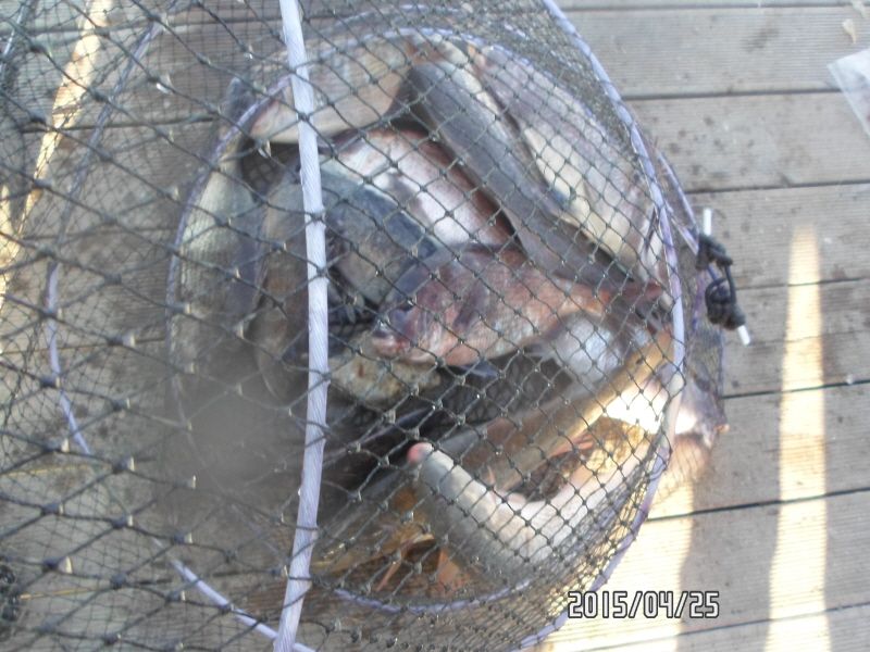 �ٹ̱�_SAM_0077.JPG