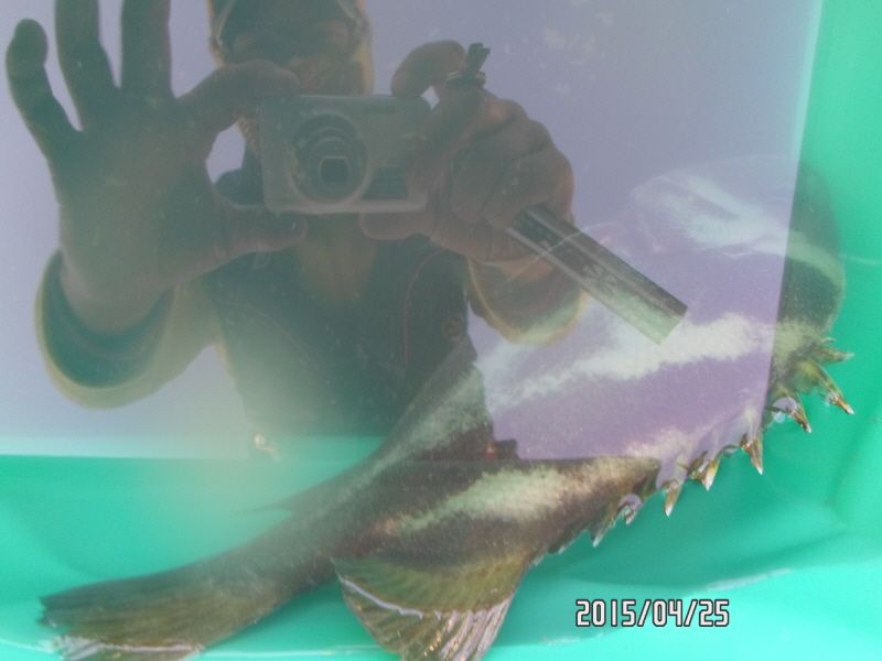 �ٹ̱�_SAM_0078.JPG