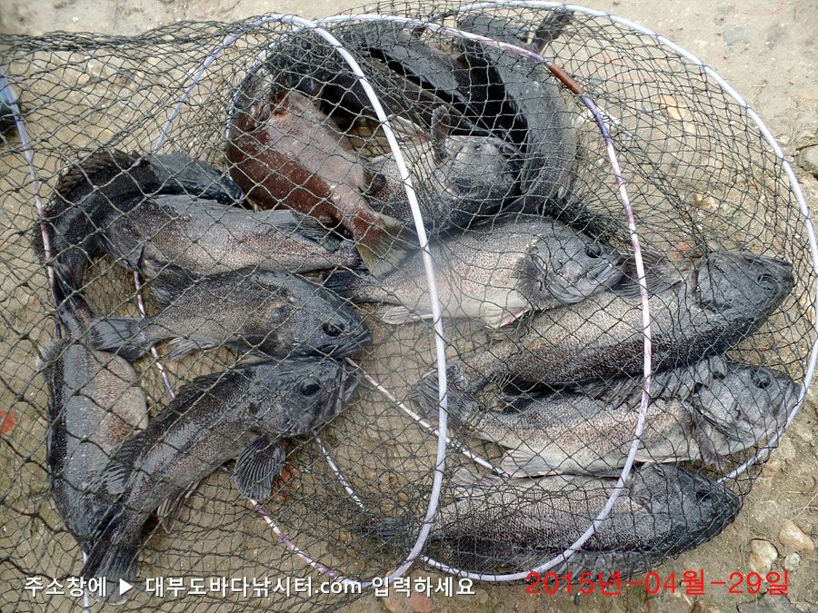 SAM_3427.jpg