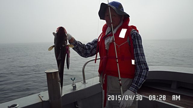 SAM_3780.jpg