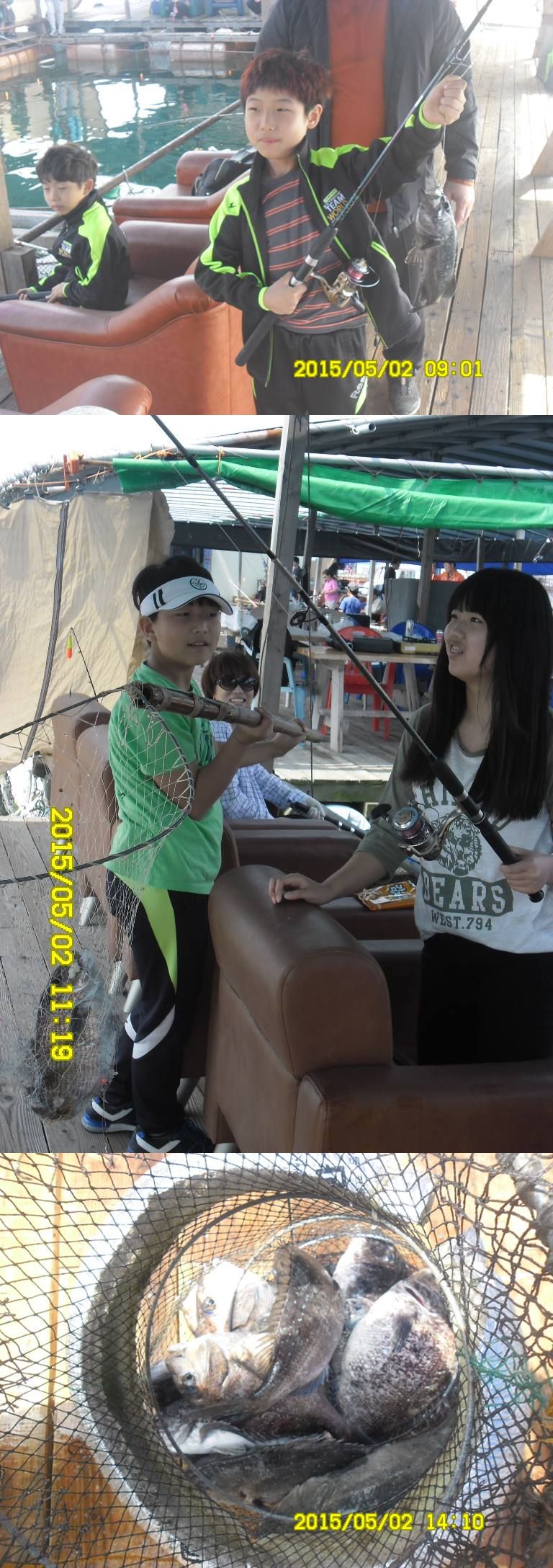 SAM_2960-vert.jpg