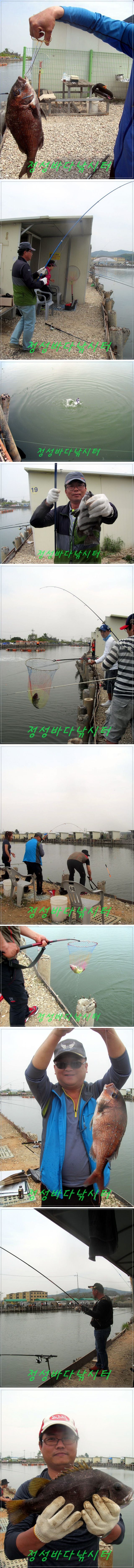 131313.jpg