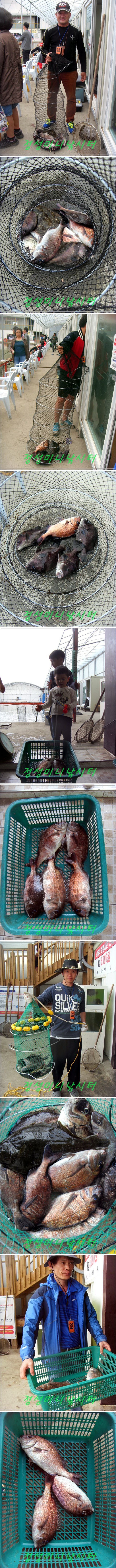 5555.jpg