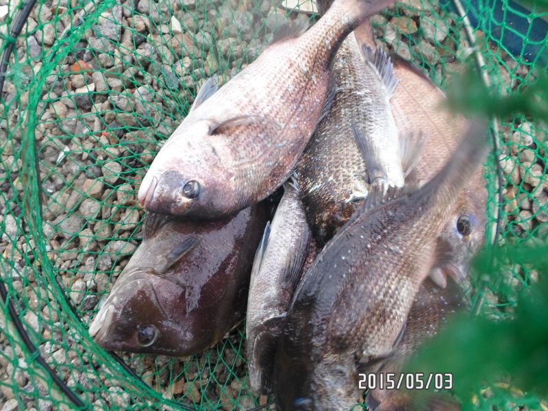 �ٹ̱�_SAM_0009.JPG