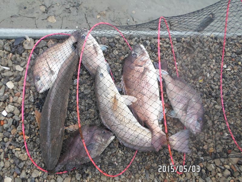 �ٹ̱�_SAM_0023.JPG