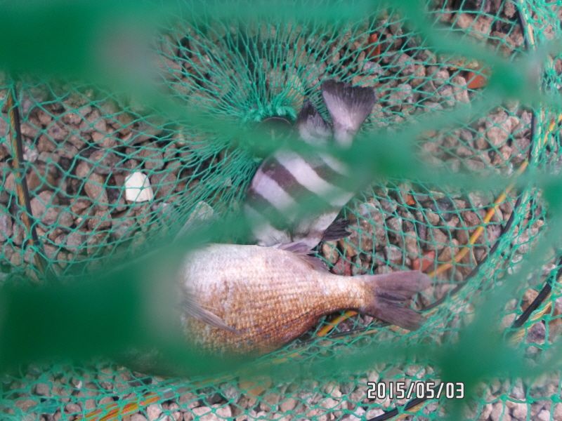 �ٹ̱�_SAM_0025.JPG