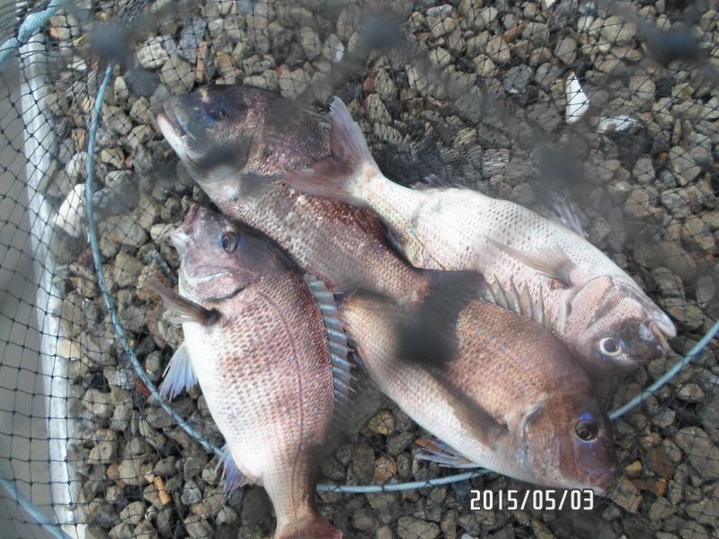 �ٹ̱�_SAM_0058.JPG