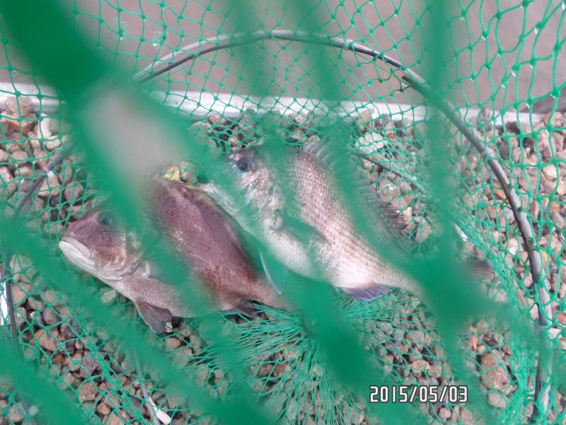 �ٹ̱�_SAM_0057.JPG
