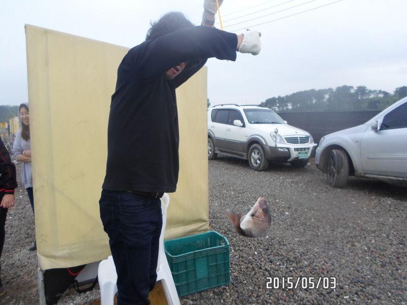 �ٹ̱�_SAM_0066.JPG