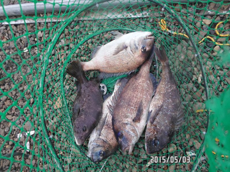 �ٹ̱�_SAM_0075.JPG