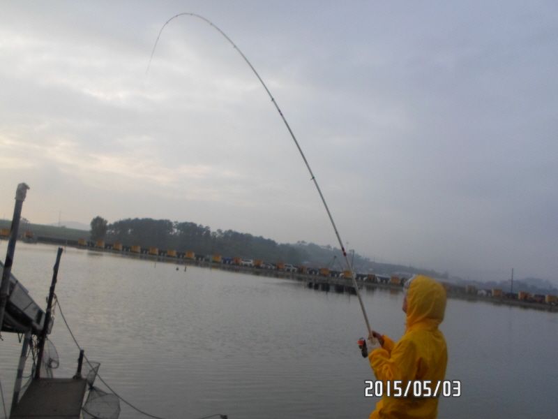 �ٹ̱�_SAM_0083.JPG