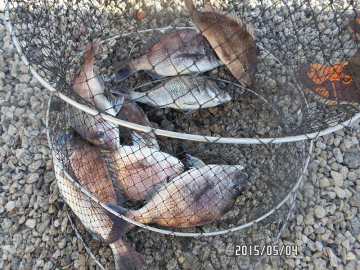 �ٹ̱�_SAM_0048.JPG