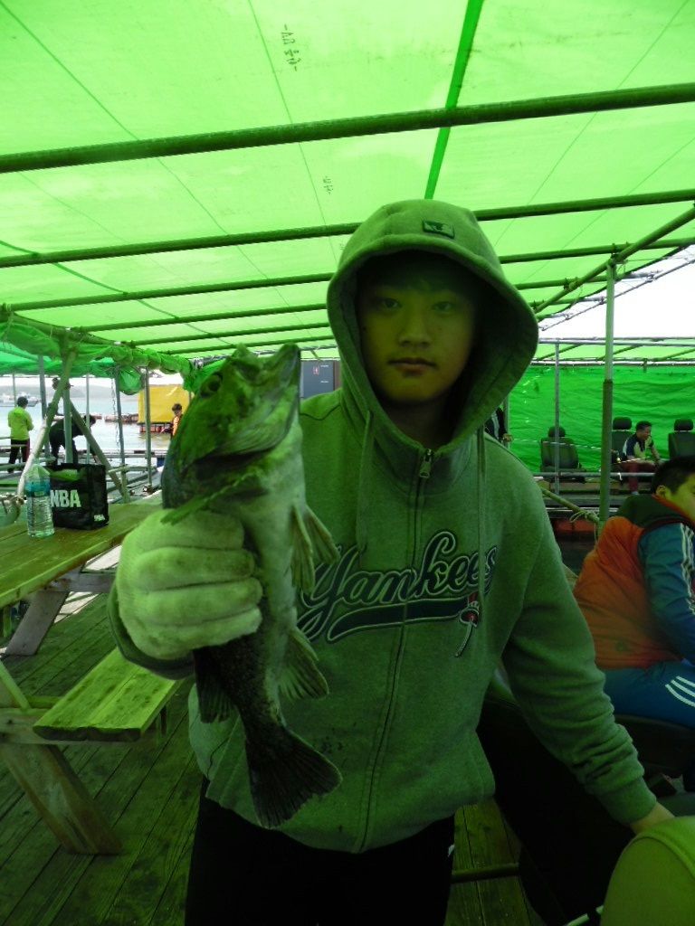 KakaoTalk_20150504_164427653.jpg
