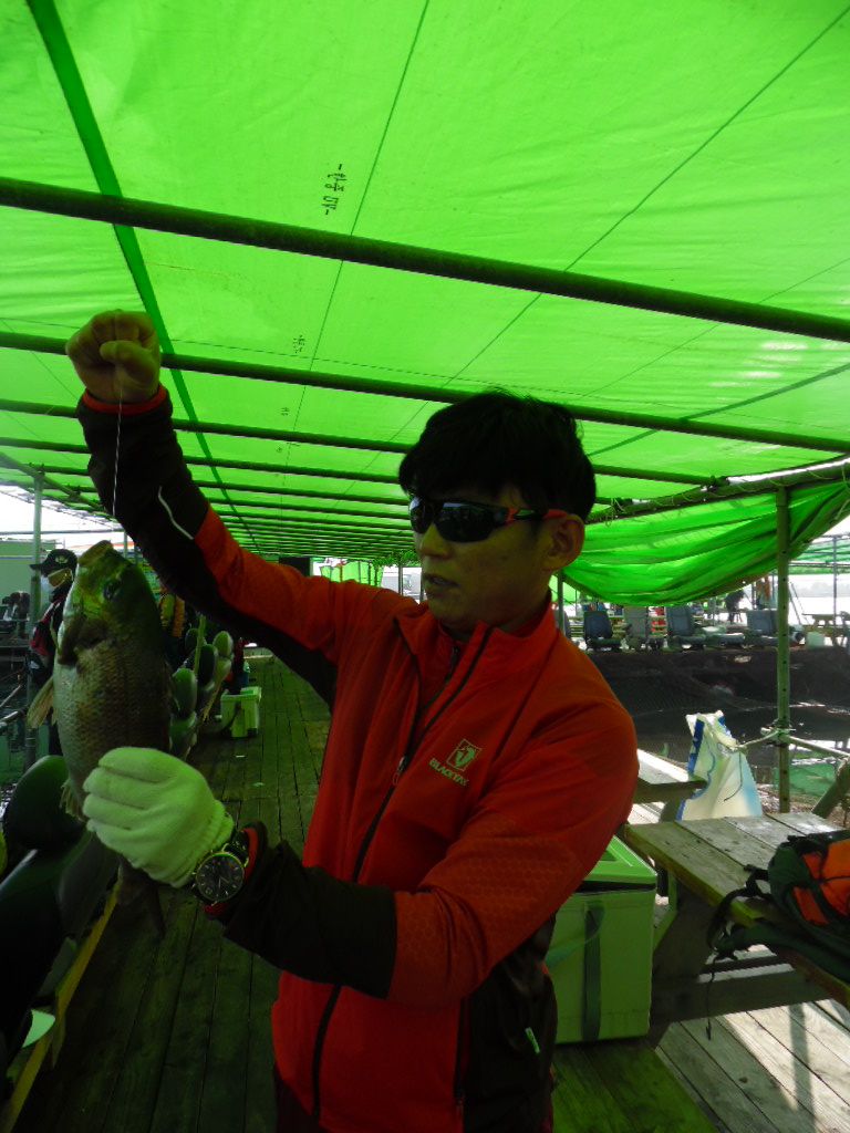 SAM_0721.JPG