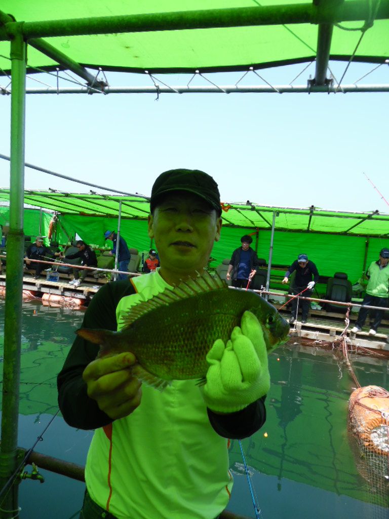 SAM_0730.JPG