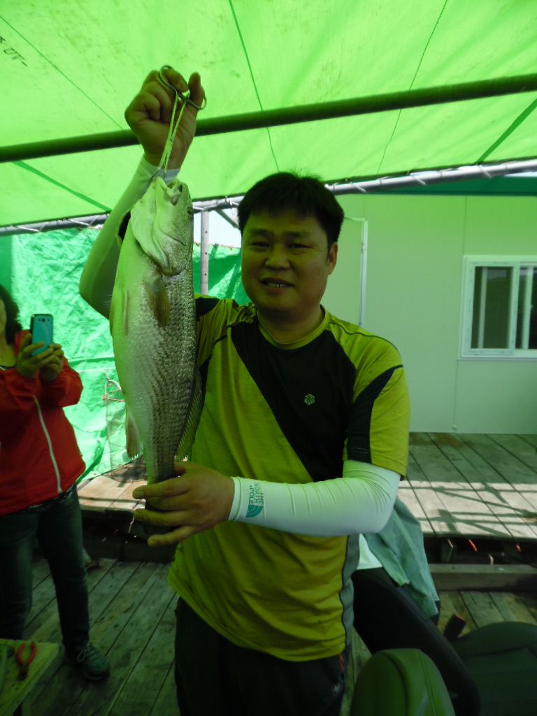 SAM_0736.JPG
