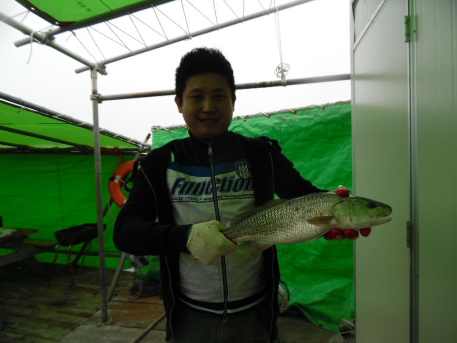 SAM_0740.JPG