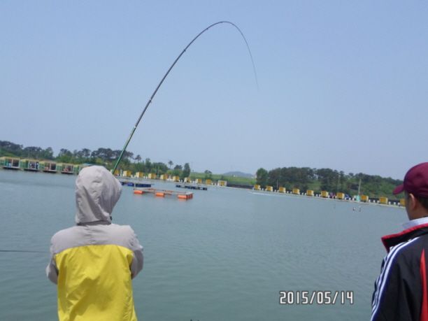 ٹ̱_SAM_0027.JPG