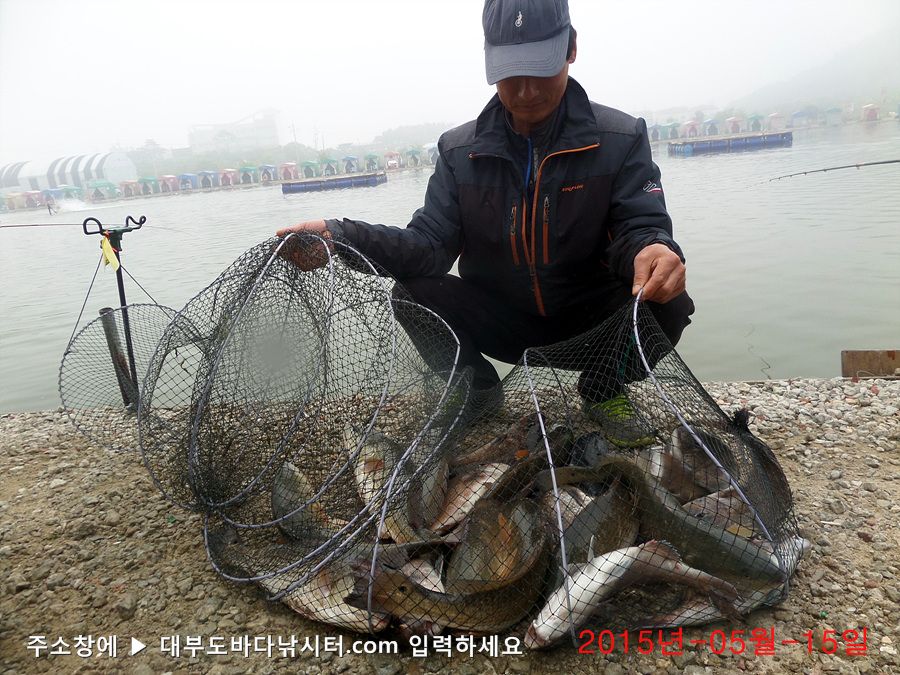 SAM_9090.jpg