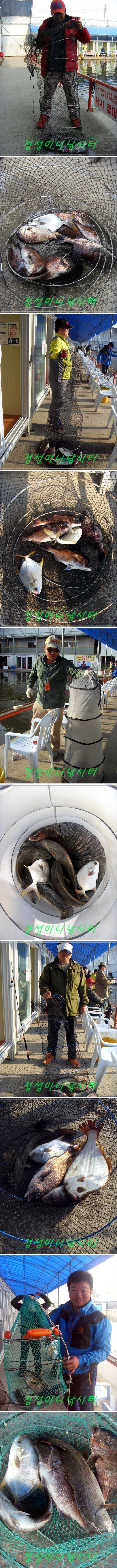 5555.jpg