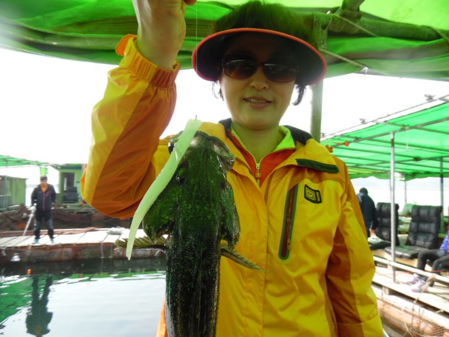 SAM_0790.JPG