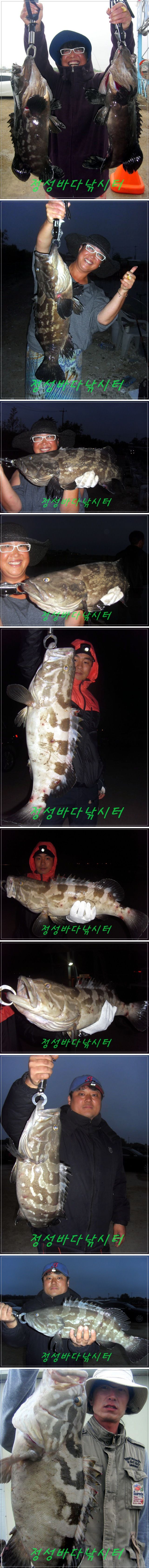 11111.jpg