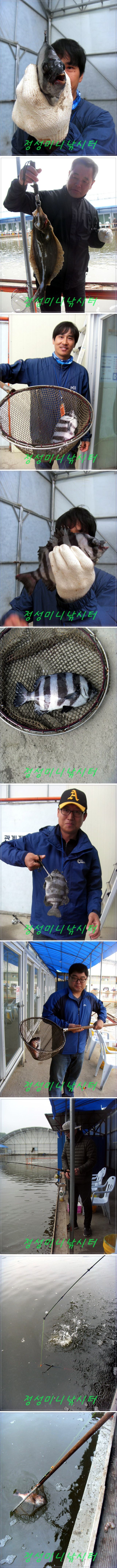 3333.jpg
