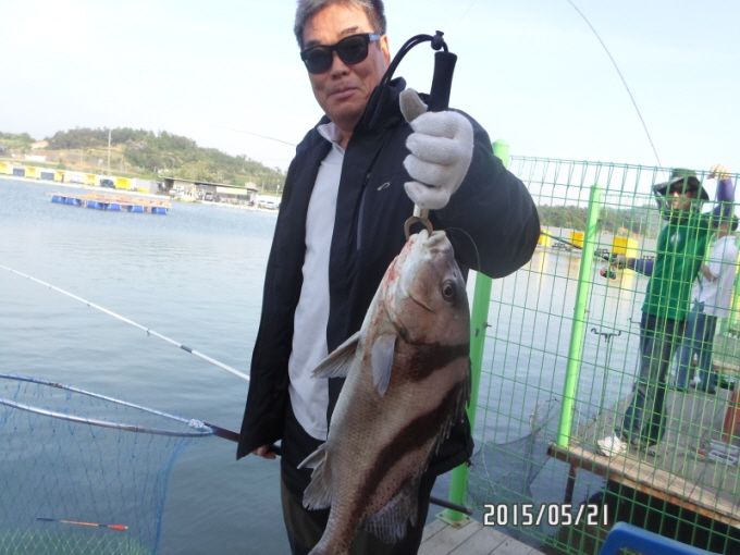 ٹ̱_SAM_0044.JPG