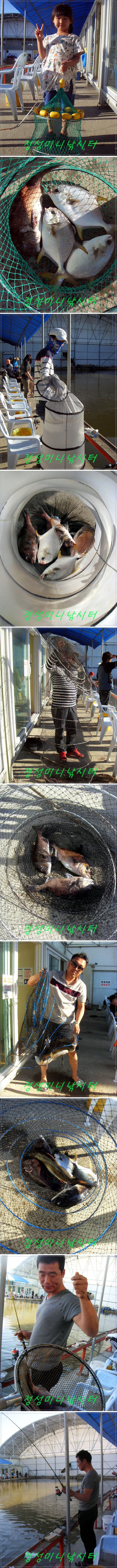 4444.jpg