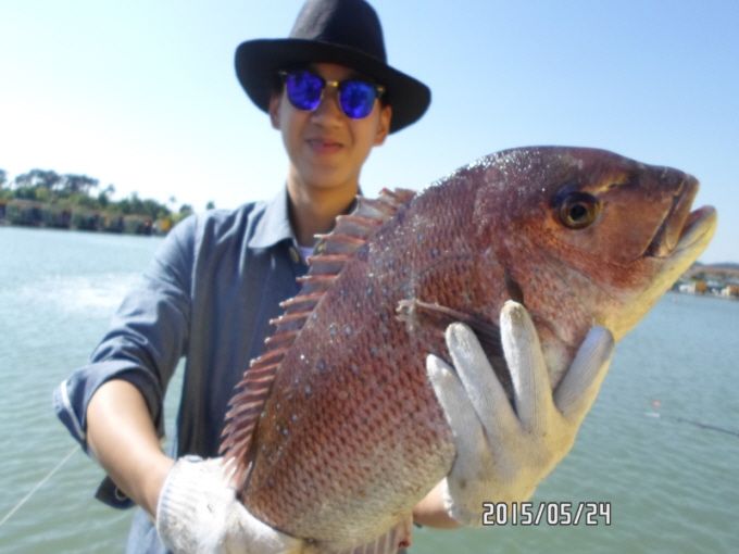 �ٹ̱�_SAM_0065.JPG