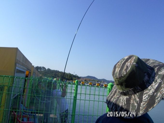 �ٹ̱�_SAM_0113.JPG
