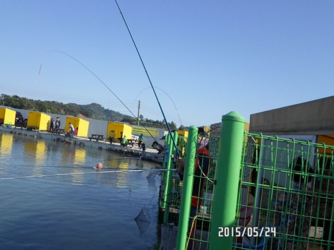 �ٹ̱�_SAM_0116.JPG