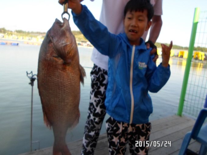 �ٹ̱�_SAM_0123.JPG