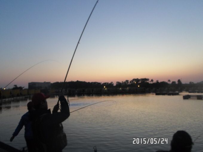 �ٹ̱�_SAM_0151.JPG