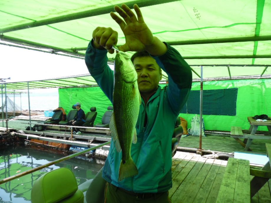 20150525181553_380_9_6.jpg