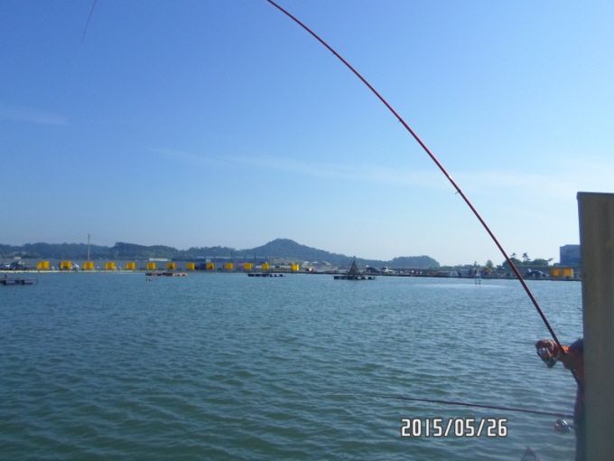�ٹ̱�_SAM_0042.JPG
