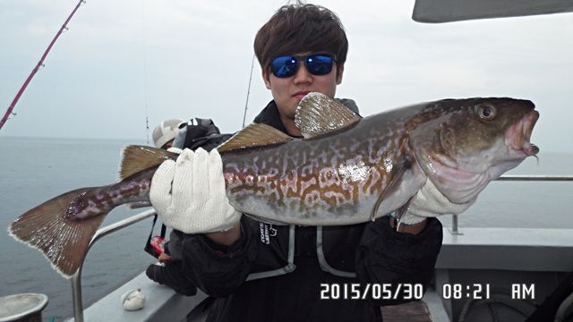 SAM_3959.jpg