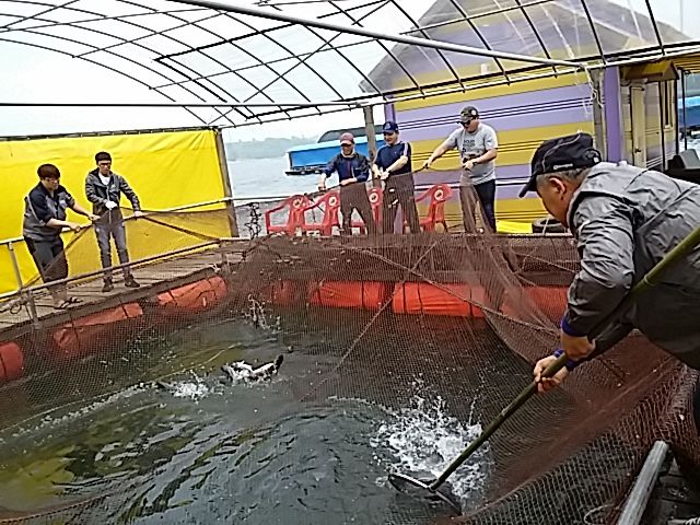 226.jpg