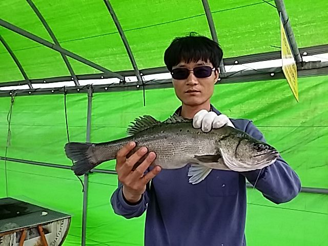 235.jpg