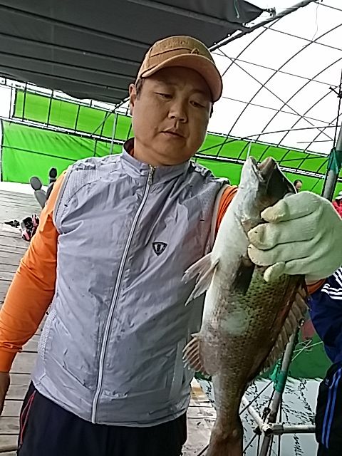 236.jpg