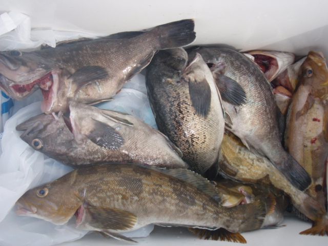 P5310020.JPG