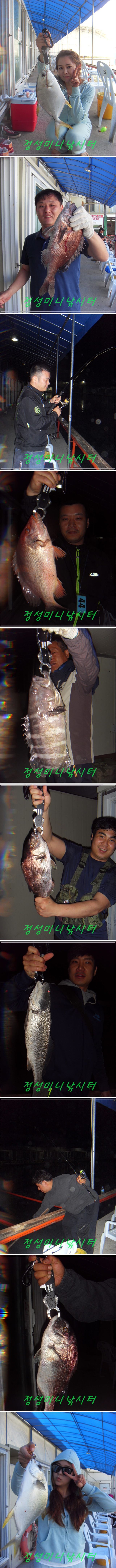 1111.jpg