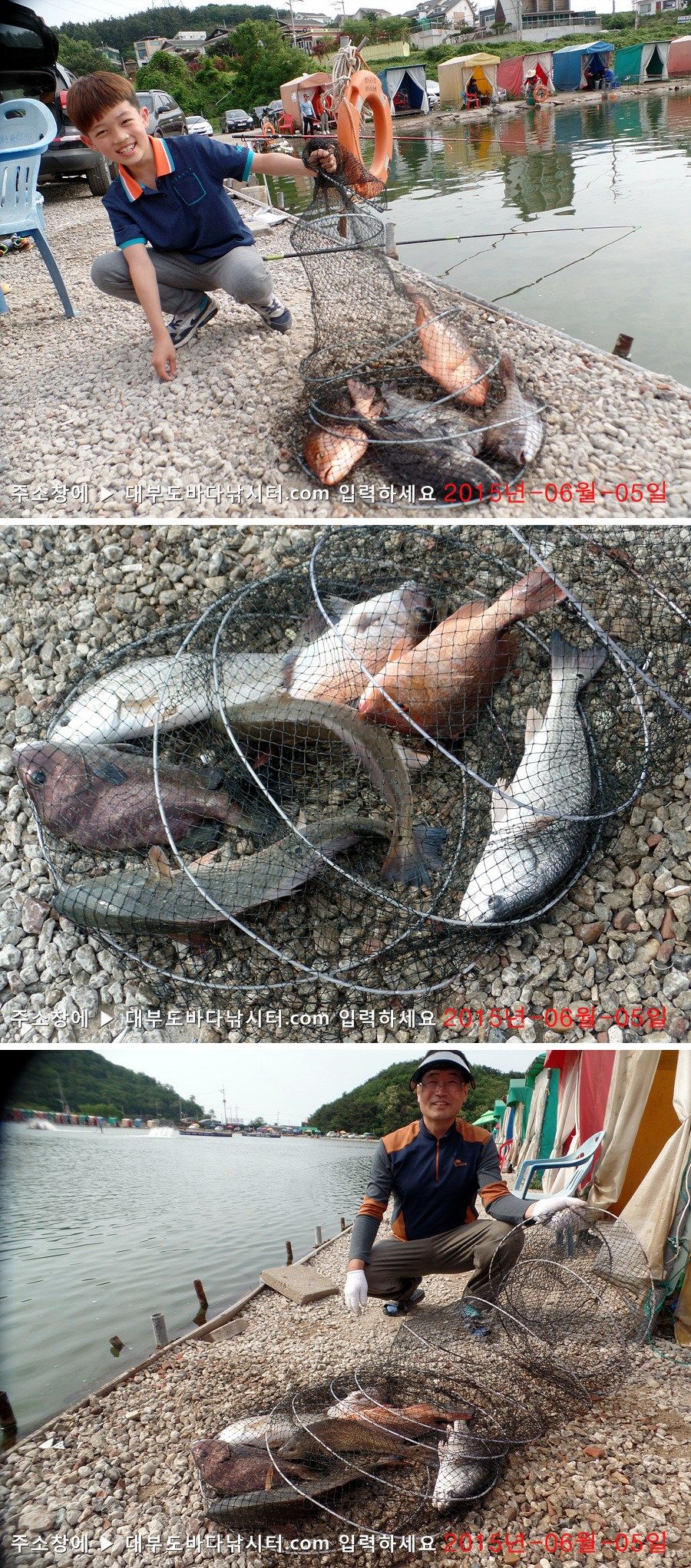 SAM_5435-vert.jpg