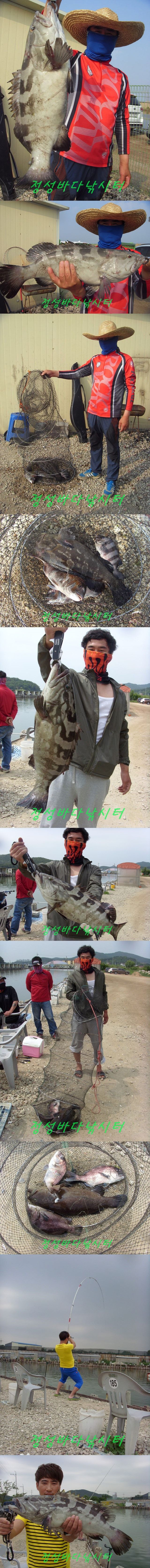 33333.jpg