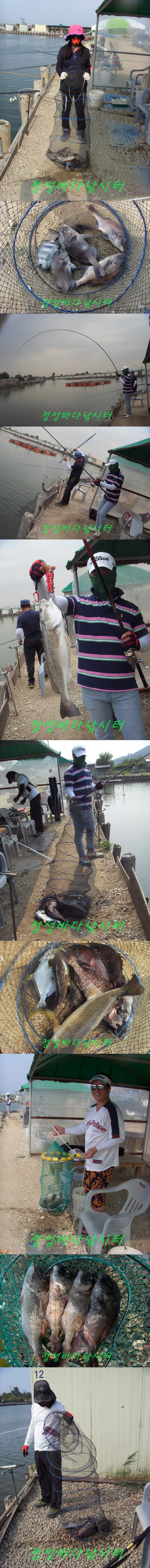 55555.jpg