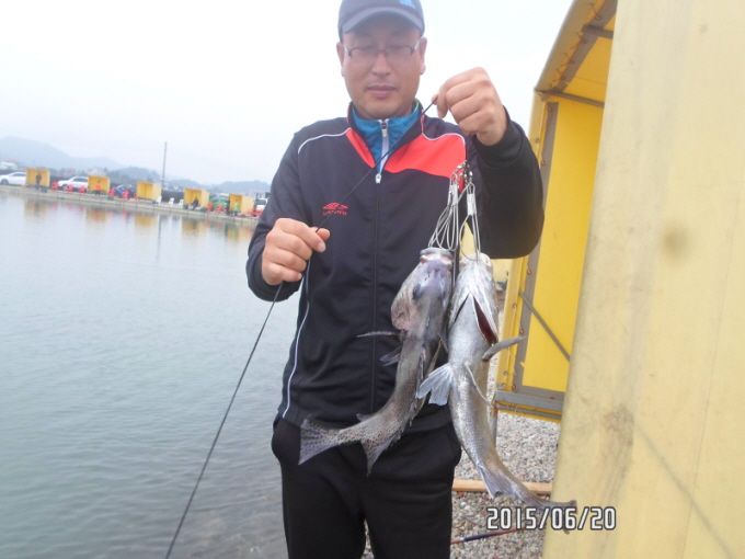 ٹ̱_SAM_0107.JPG