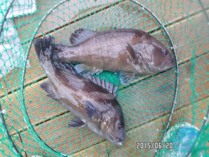 ٹ̱_SAM_0132.JPG