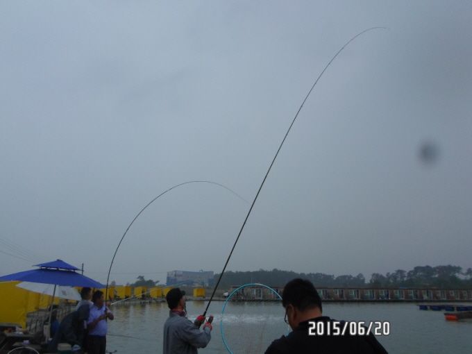 ٹ̱_SAM_0017.JPG